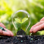 Optimiser la fertilisation des cultures avec les sulfates et les acides