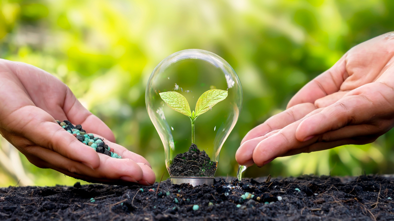 Optimiser la fertilisation des cultures avec les sulfates et les acides
